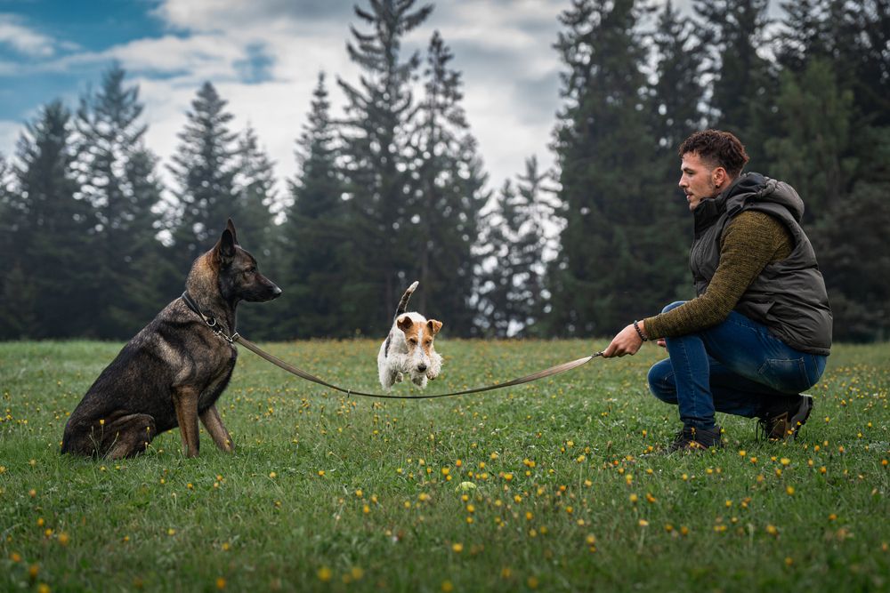 Фотография автора Krisztián Csalami