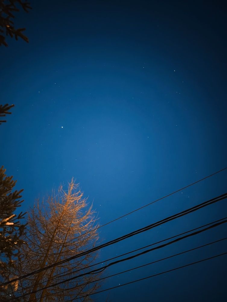 Photograph by Андрей Путинцев