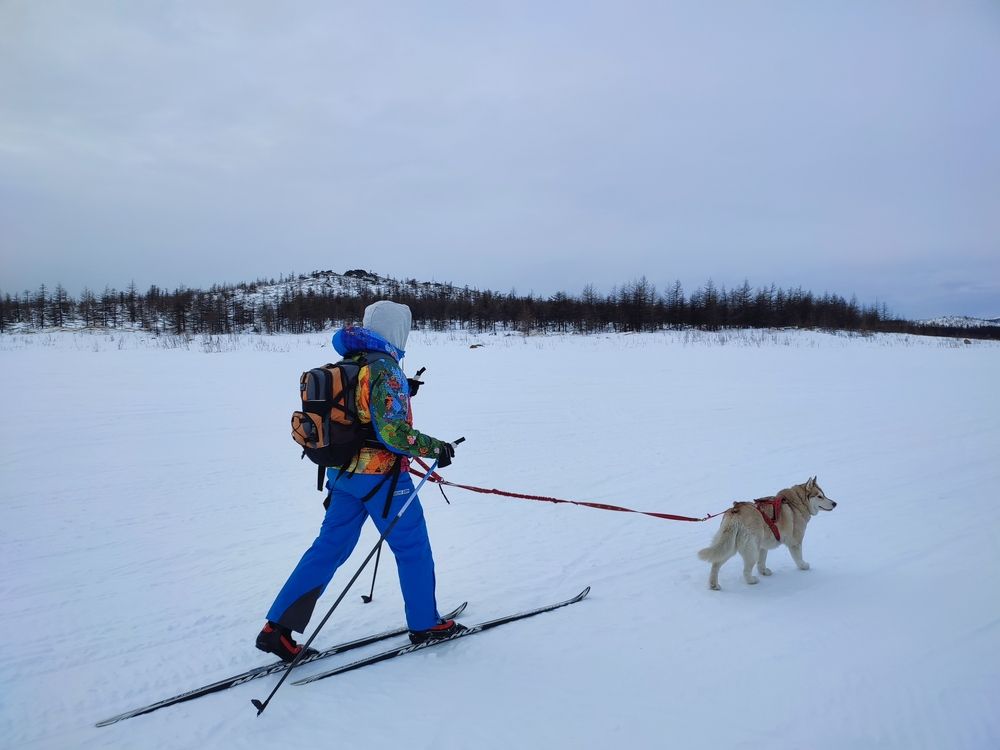 Photograph by Евгений Захаров