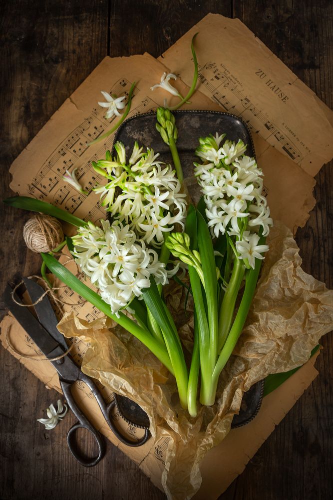 Photograph by Arina Bogachyova
