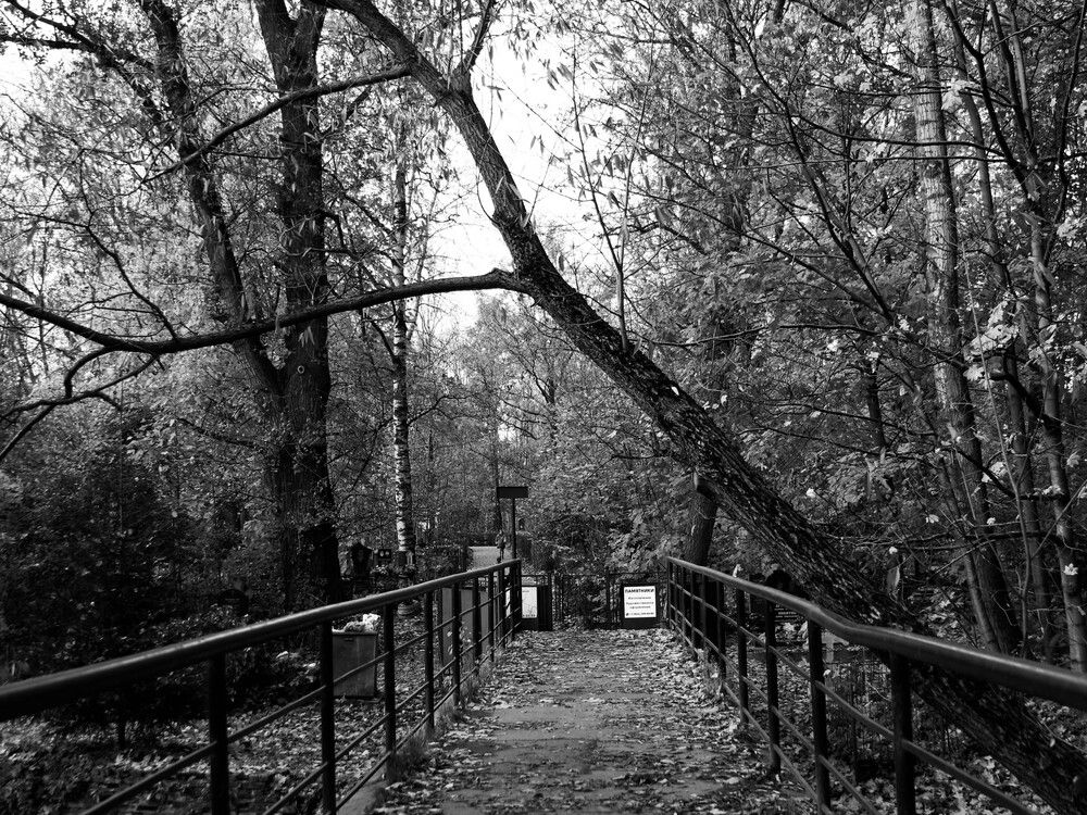 Photograph by Ольга Долгополова