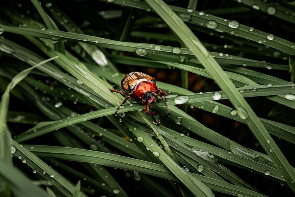 Photograph by Сергеев Кирилл