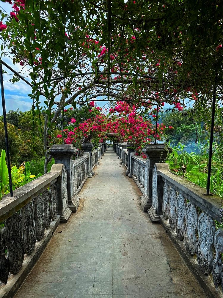 Photograph by Ольга Позняк