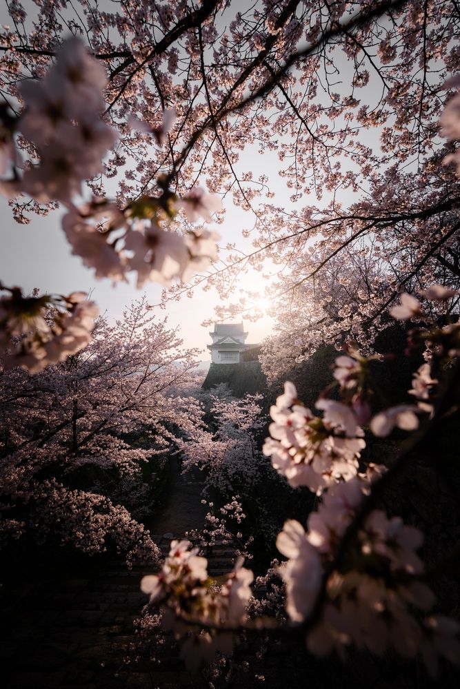 Photograph by Taketo Kazuho