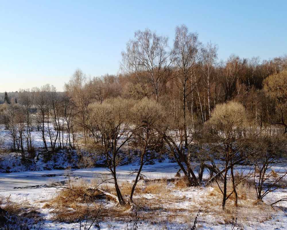Фотография автора ТАТЬЯНА ЗАХАРОВА