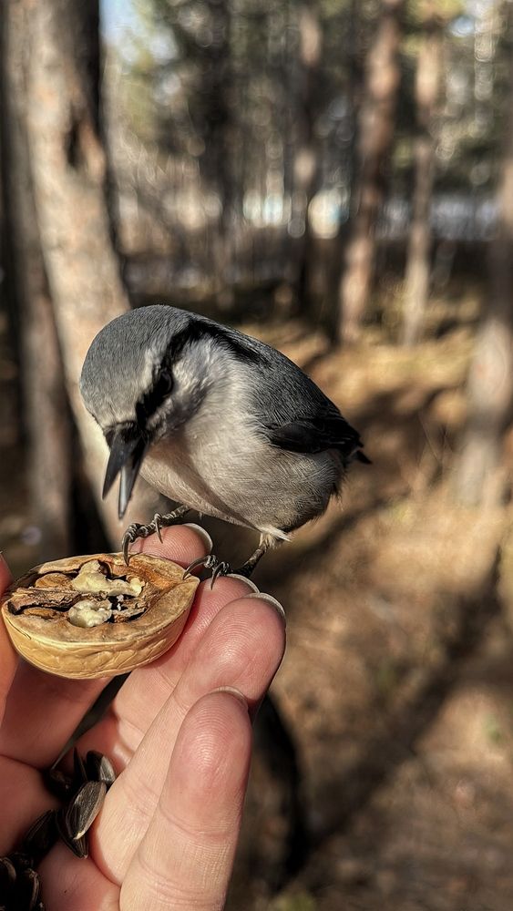 Photograph by Марина Мишутина