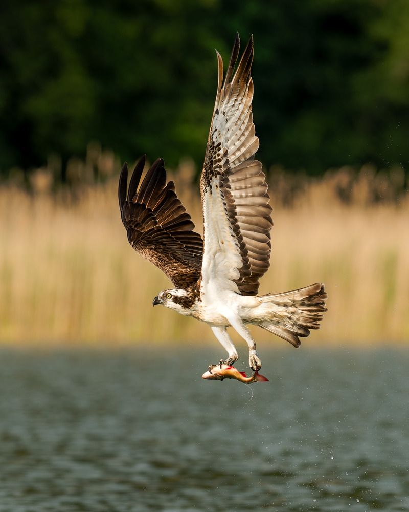 Photograph by Ruzhdi Ibrahimi