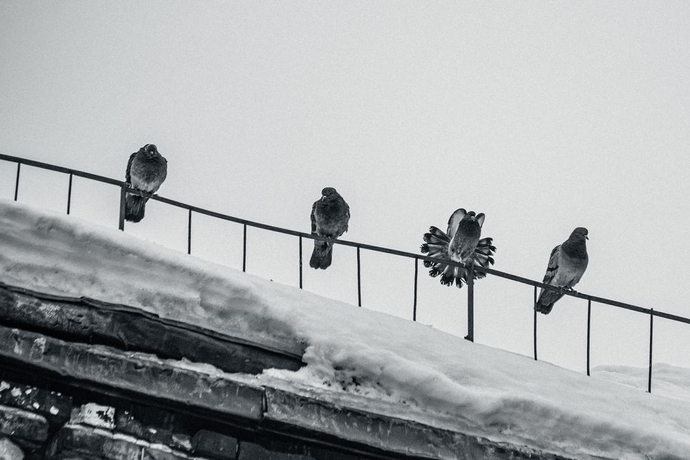 Photograph by Юлия Карцева