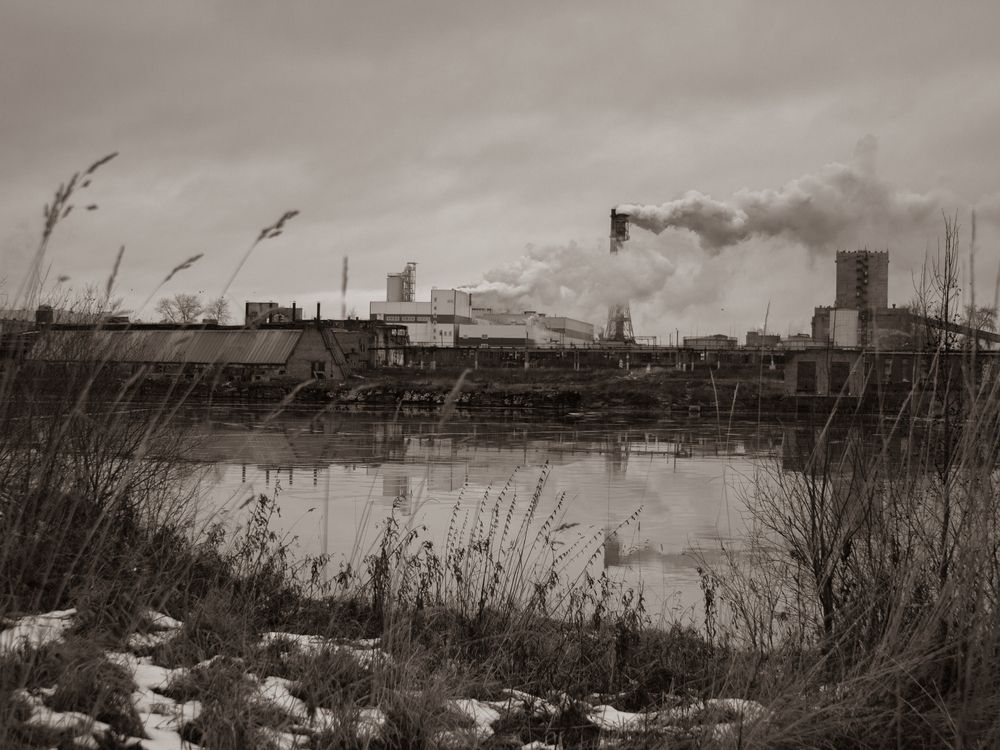 Photograph by Ольга Долгополова