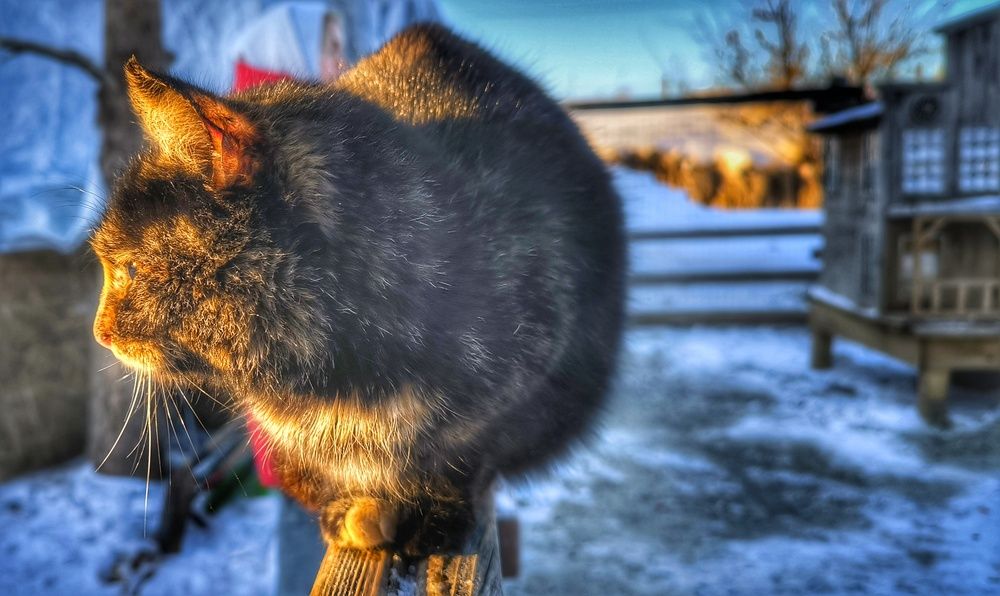 Photograph by Юлия Савич
