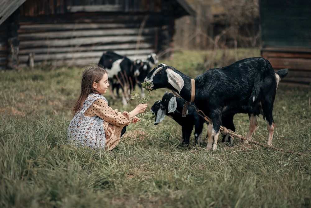 Photograph by Анастасия Павлова