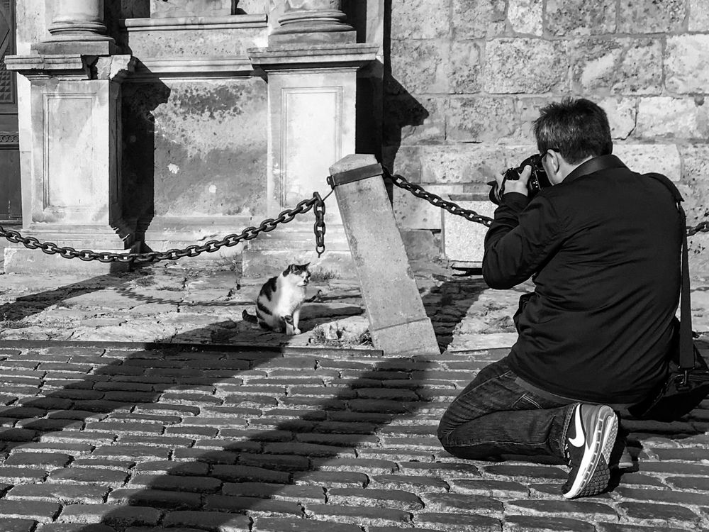 Фотомодель