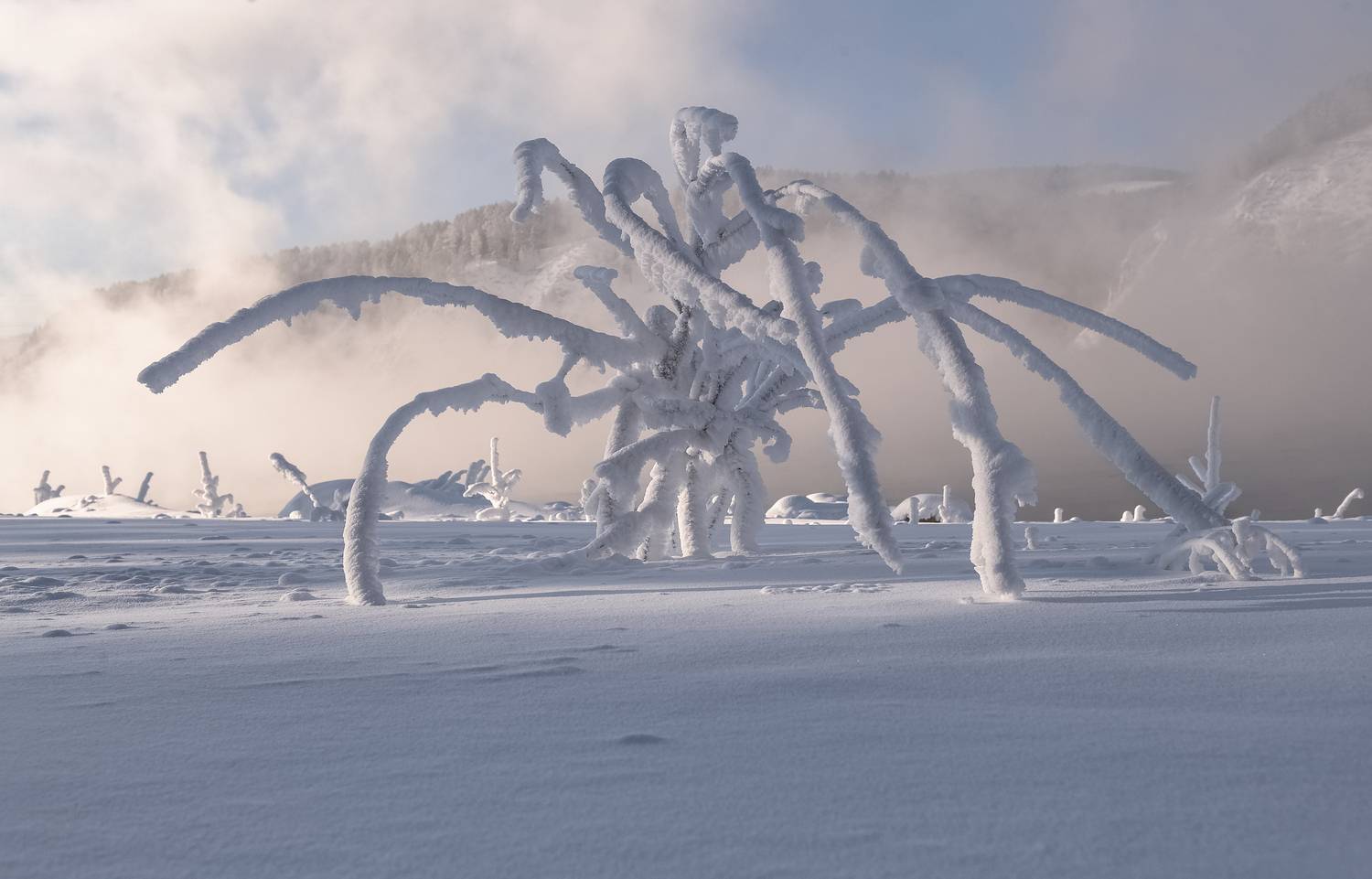 Фотография #13324945