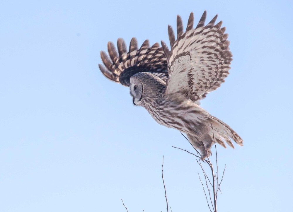 Photograph by Михаил Белоусов