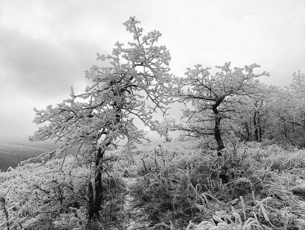 Photograph by Веста Ягужинская