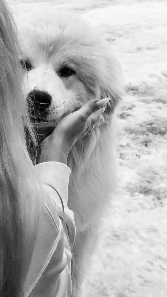 С первого взгляда