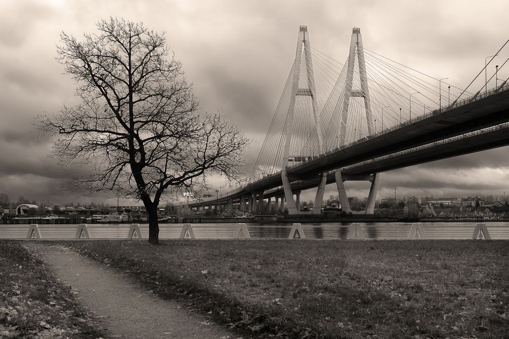 Photograph by Игорь Бессонов