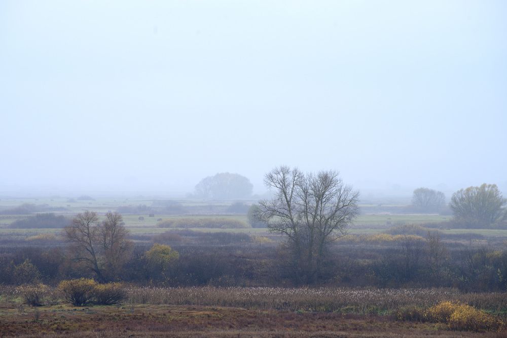 Photograph by Евгений