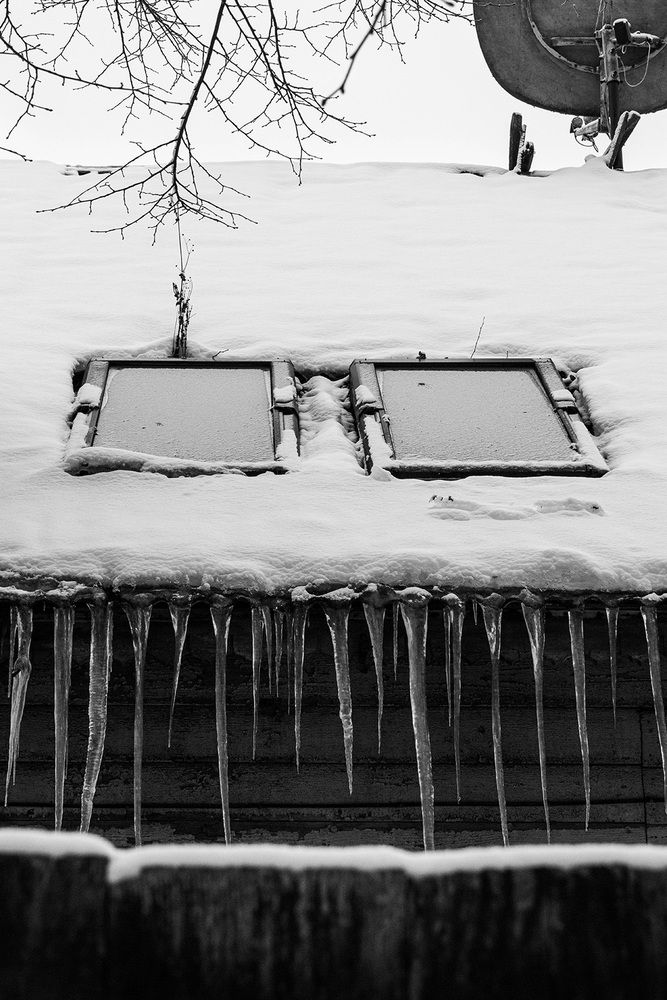 Photograph by Ieva Puriņa