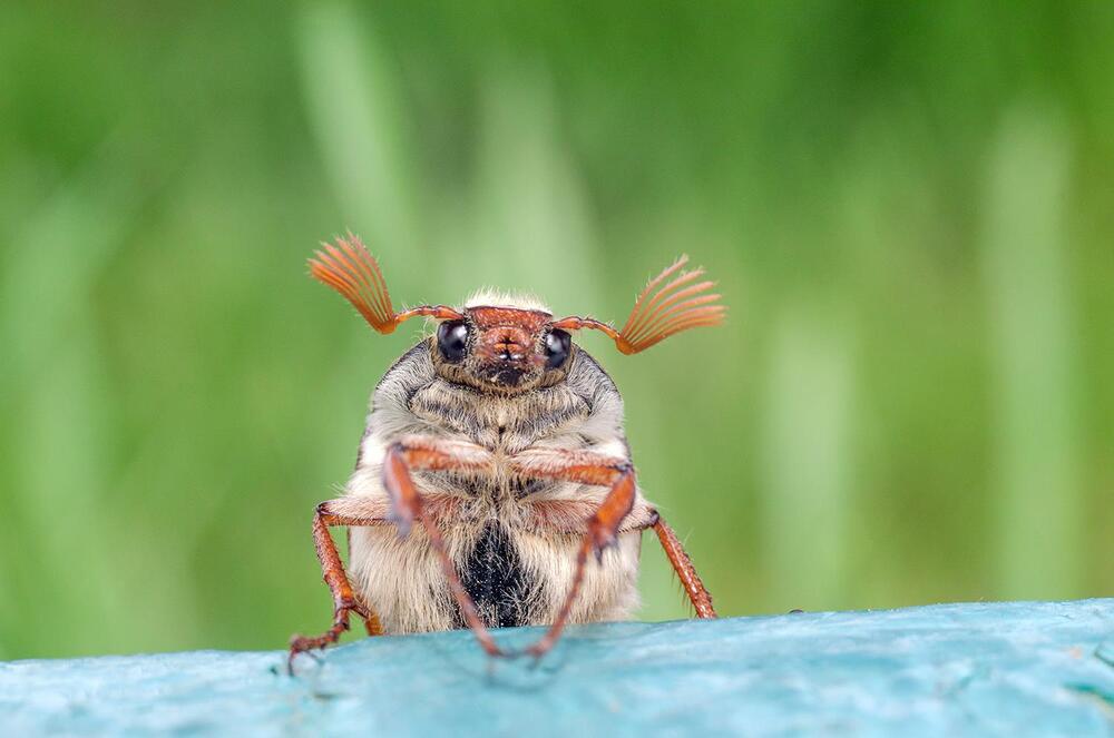 Photograph by Fantomas