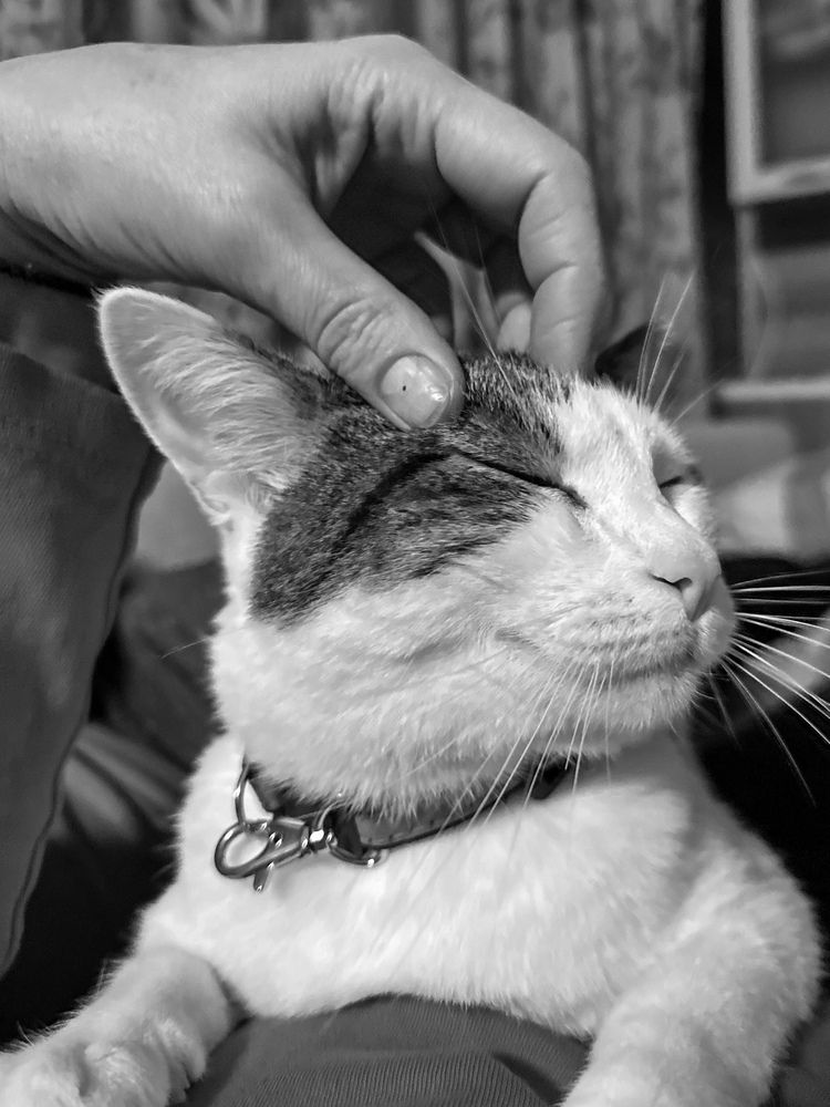 Что такое любовь