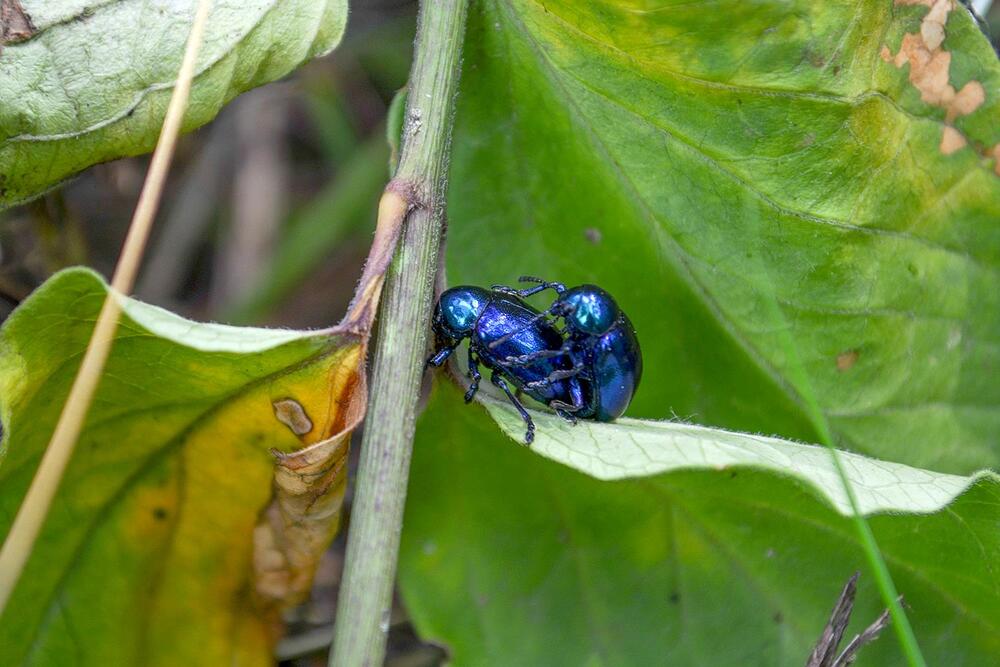 Photograph by Fantomas