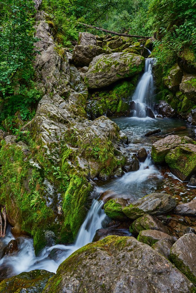 Photograph by Греков Владимир
