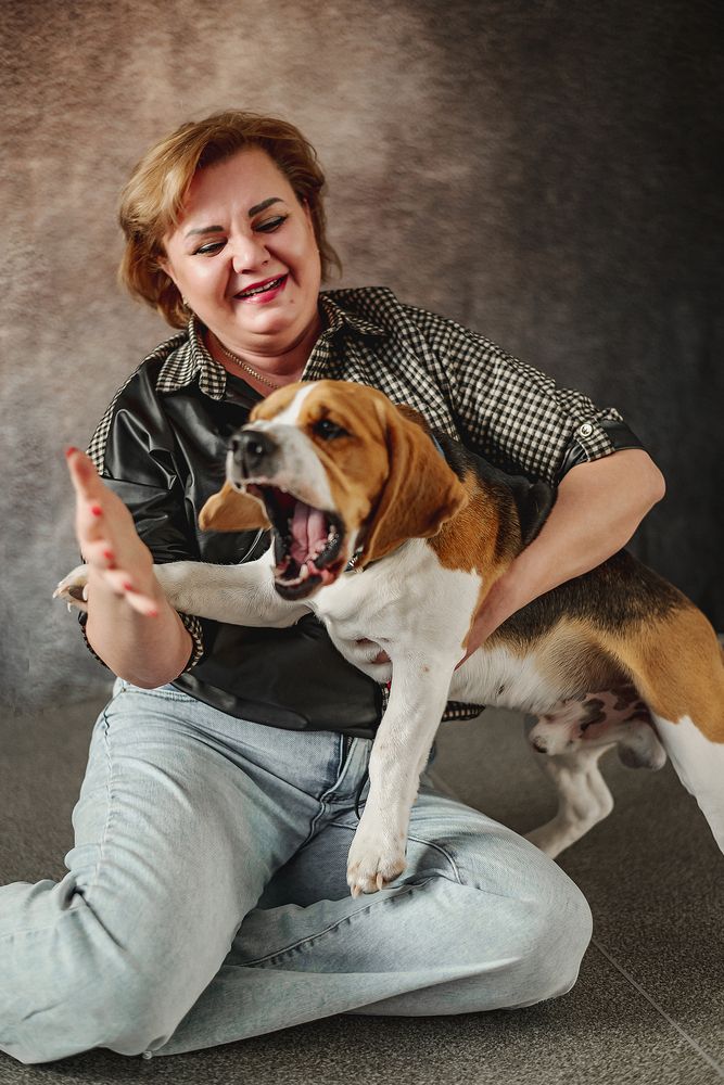 Не злите бигля