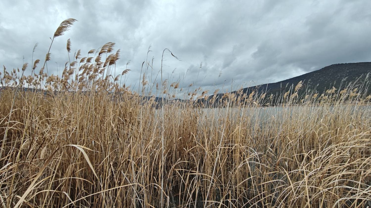 Photo #13325397