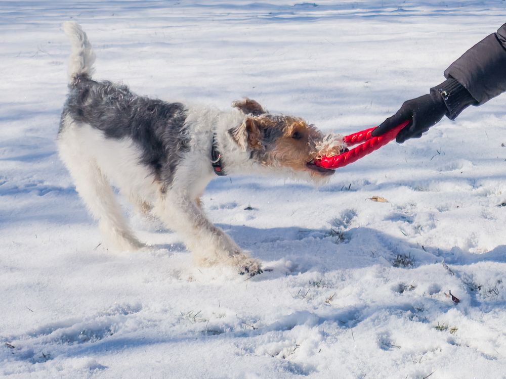 Photograph by Лилия Фролова