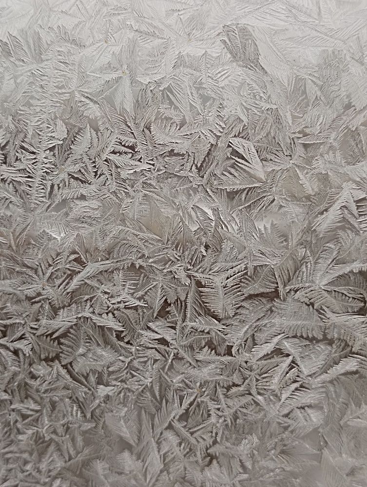 Photo #13325430