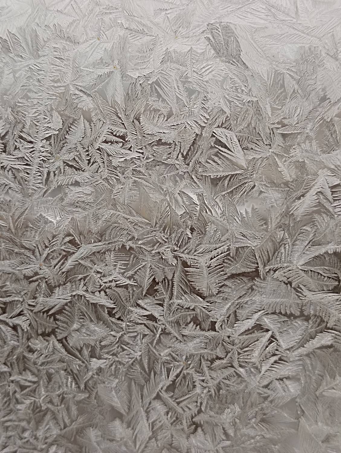 Photo #13325430