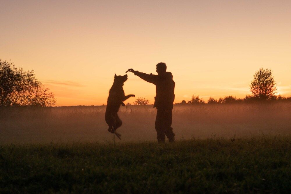 Photograph by Елена Обухова