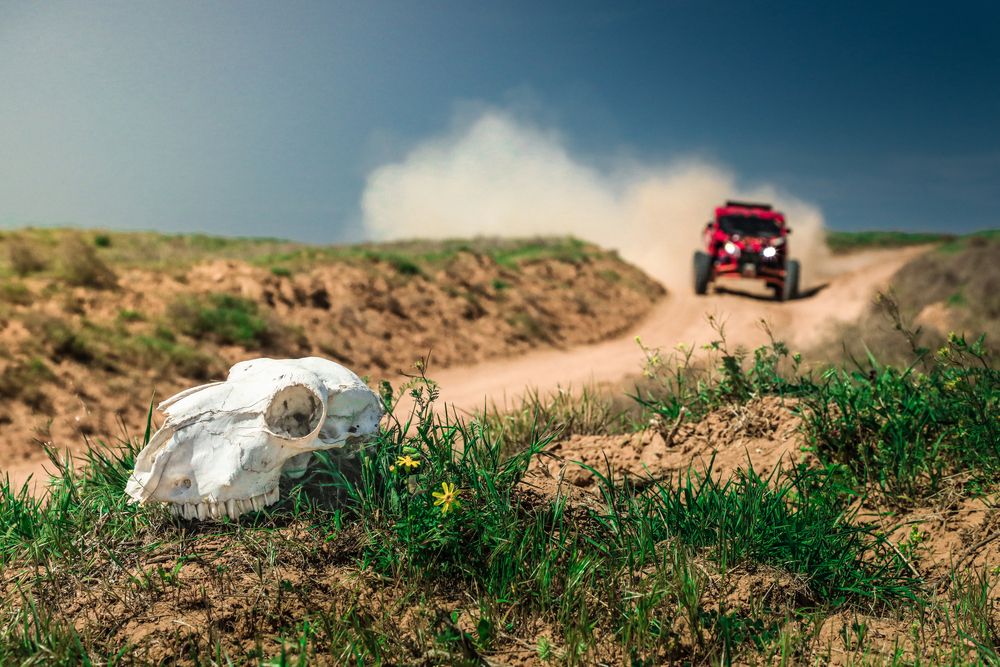 Photograph by Сергей Канада