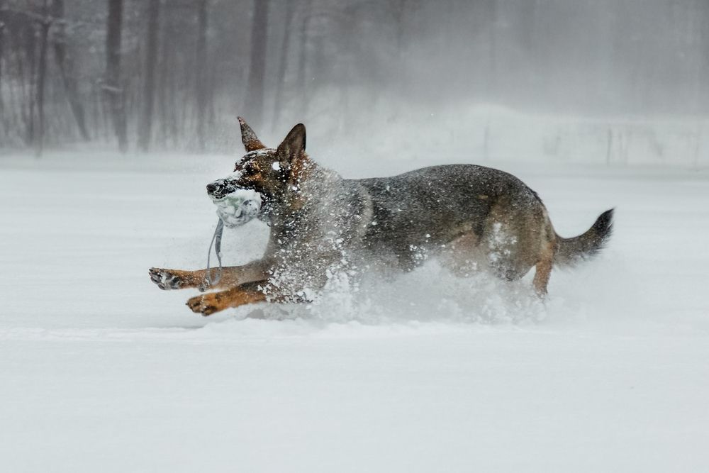 Photograph by Оксана Пучкова