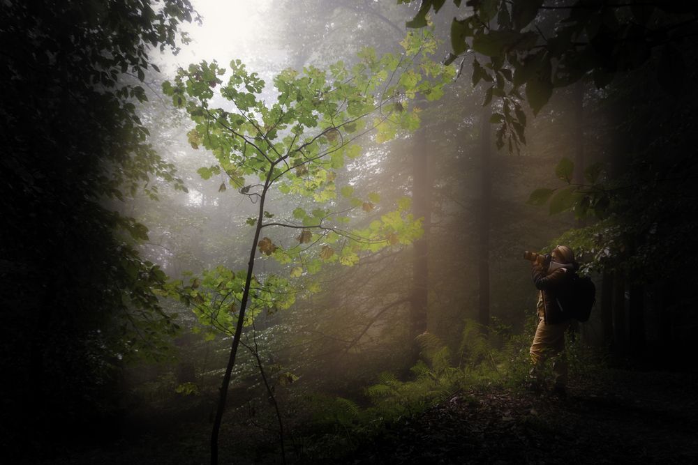 to the light