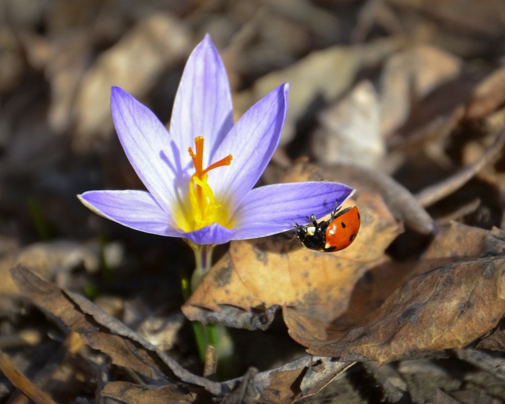 Photograph by Алексей Трубин
