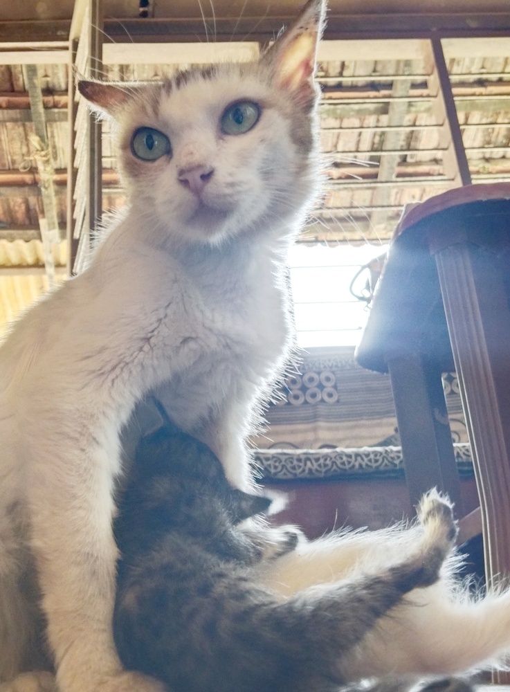 Photograph by Varsha Gatti