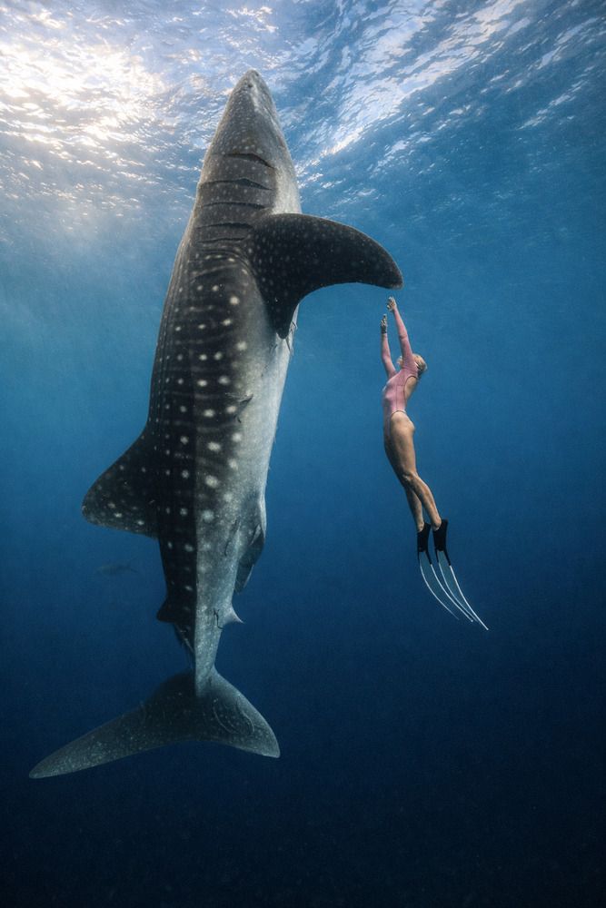 Танец с великаном