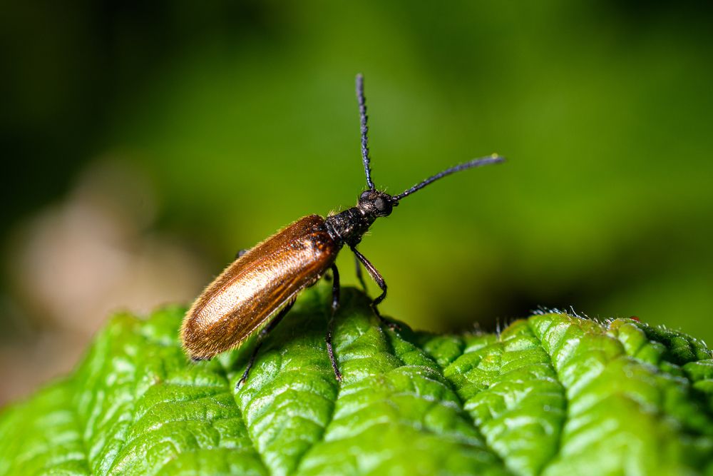 Photograph by Алексей Трубин