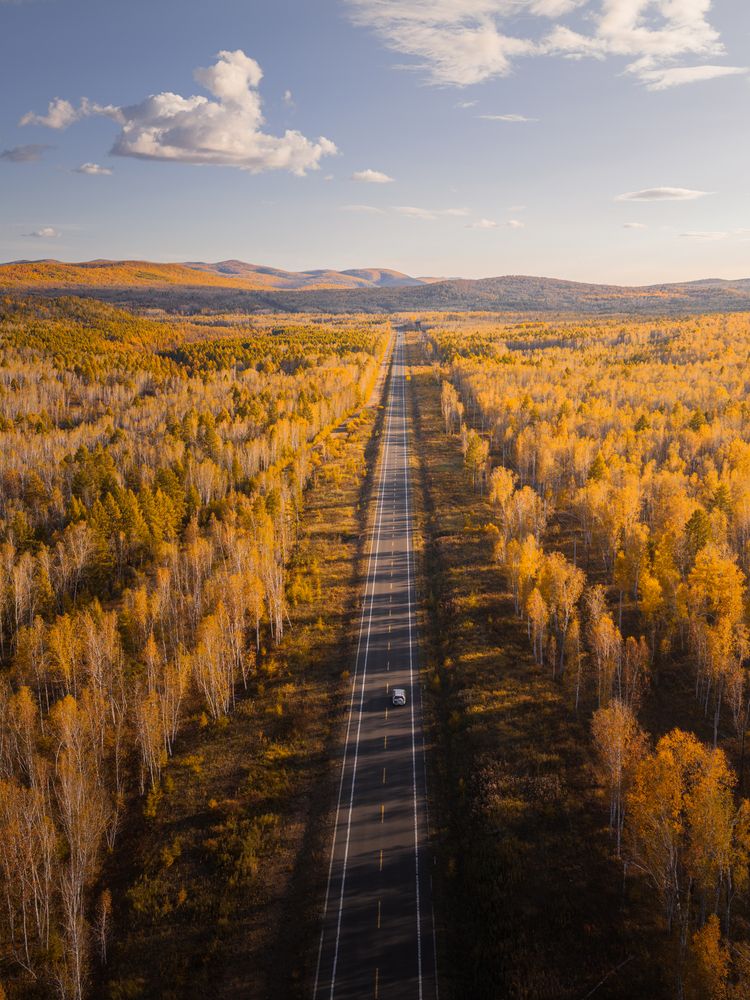 The dividing line of late autumn