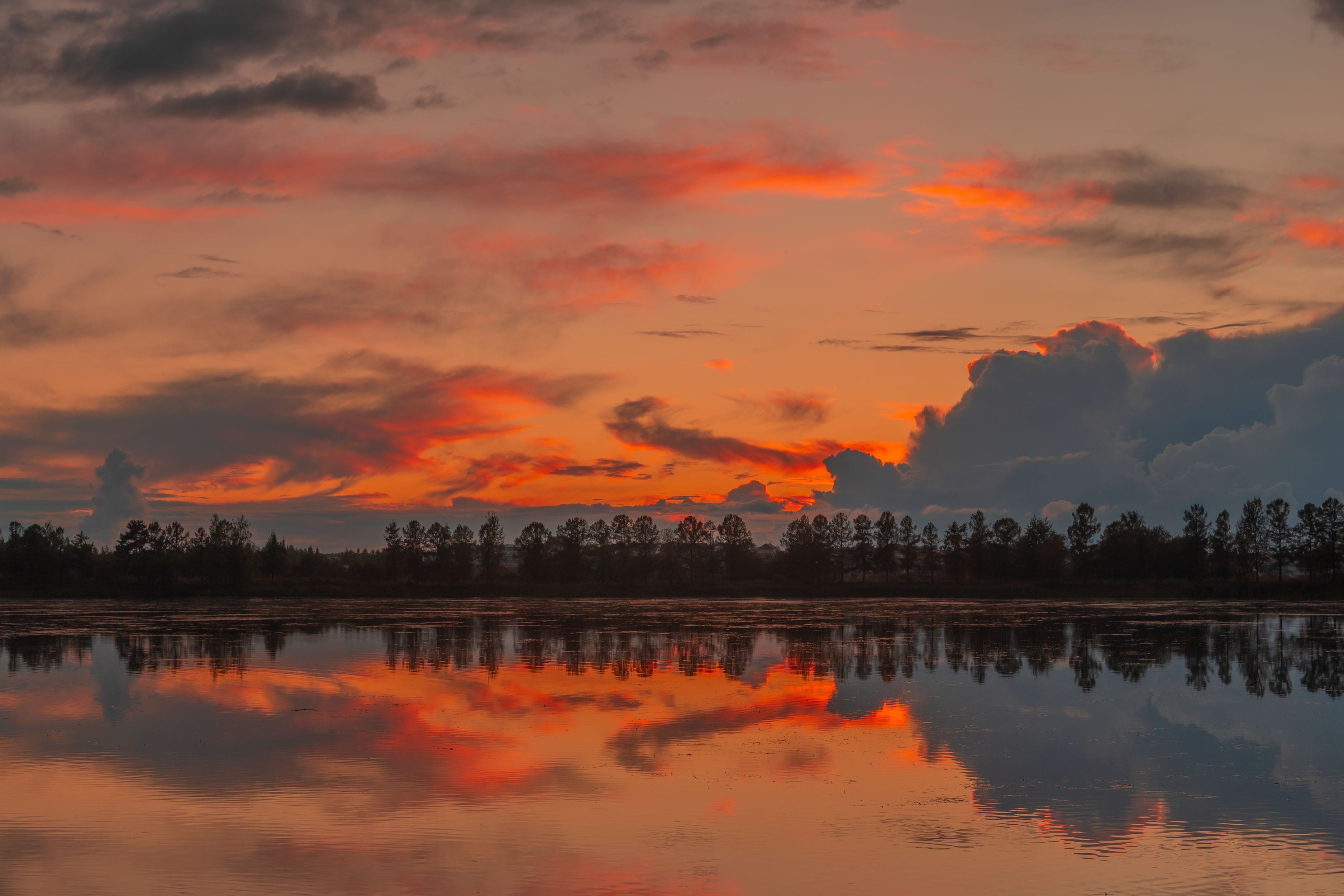 Photograph by Андрей Вешняков