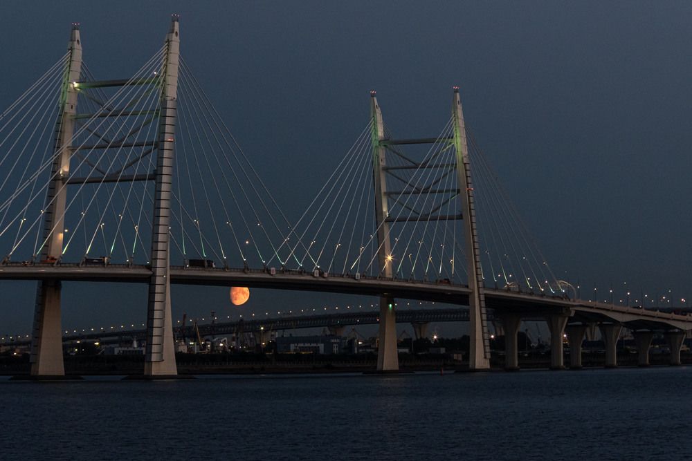 Фотография автора Елена Гусева