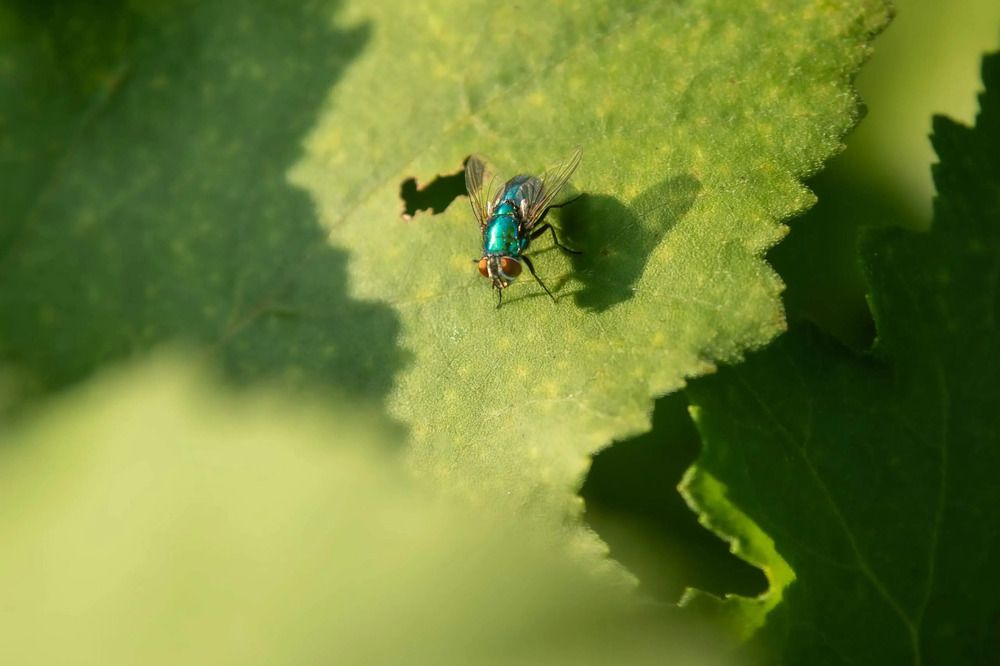 Photograph by Юрий Десятов