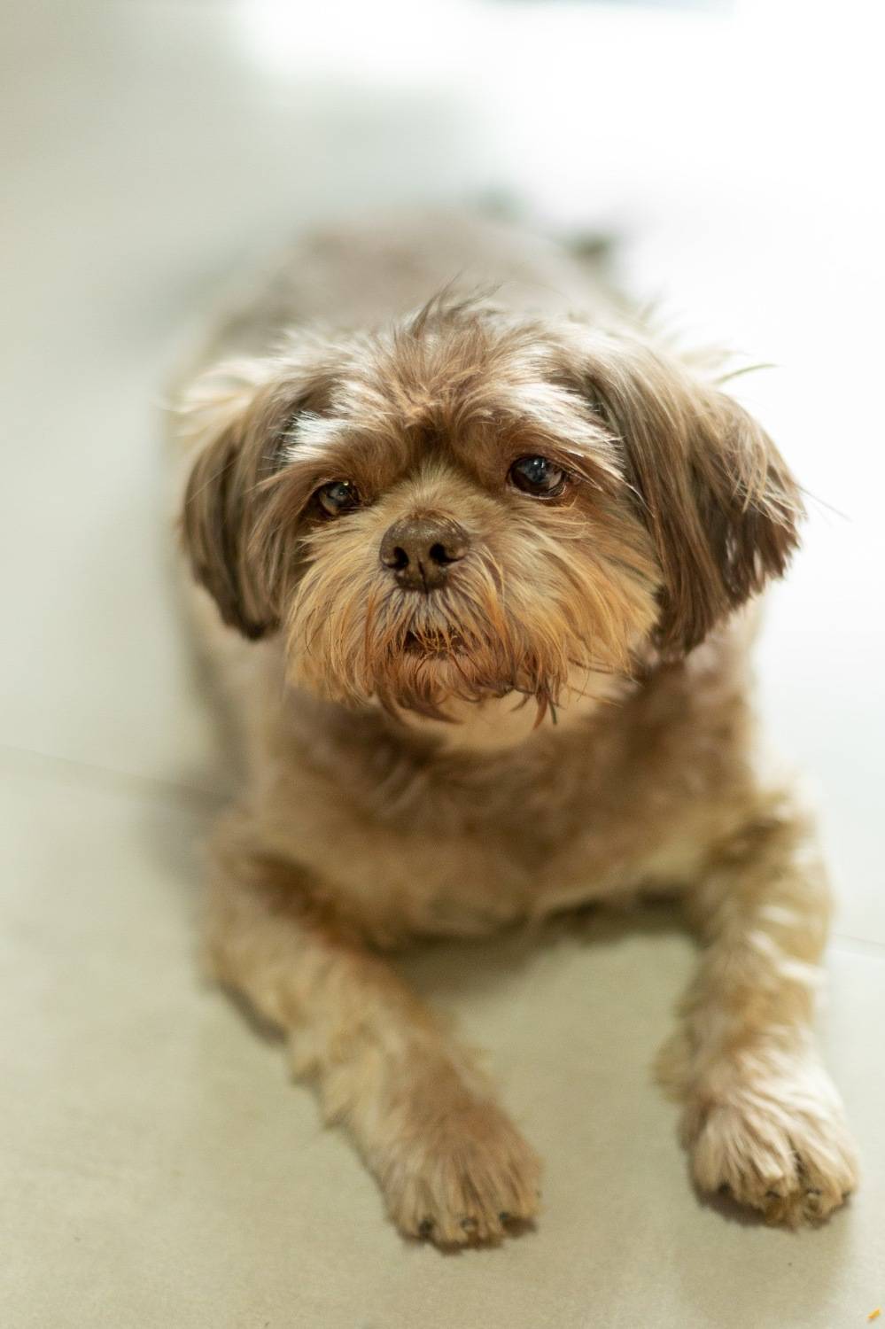 Photo #13325847