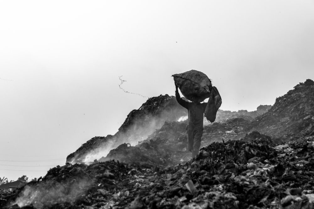 Carrying Hope Through the Ashes