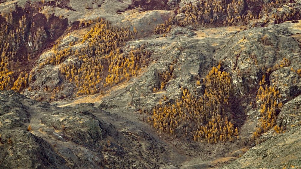 Photograph by Кузнецов Андрей