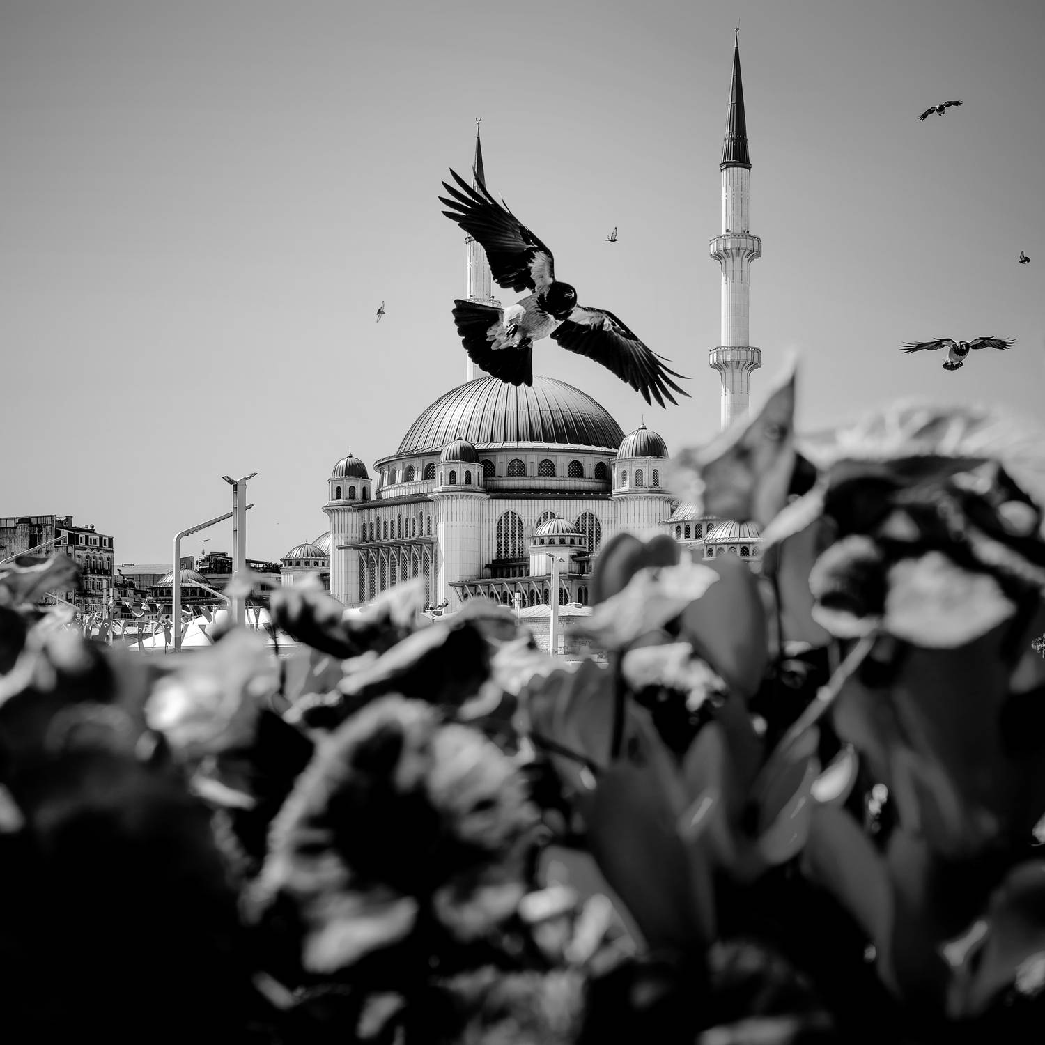 Фотография #13325917