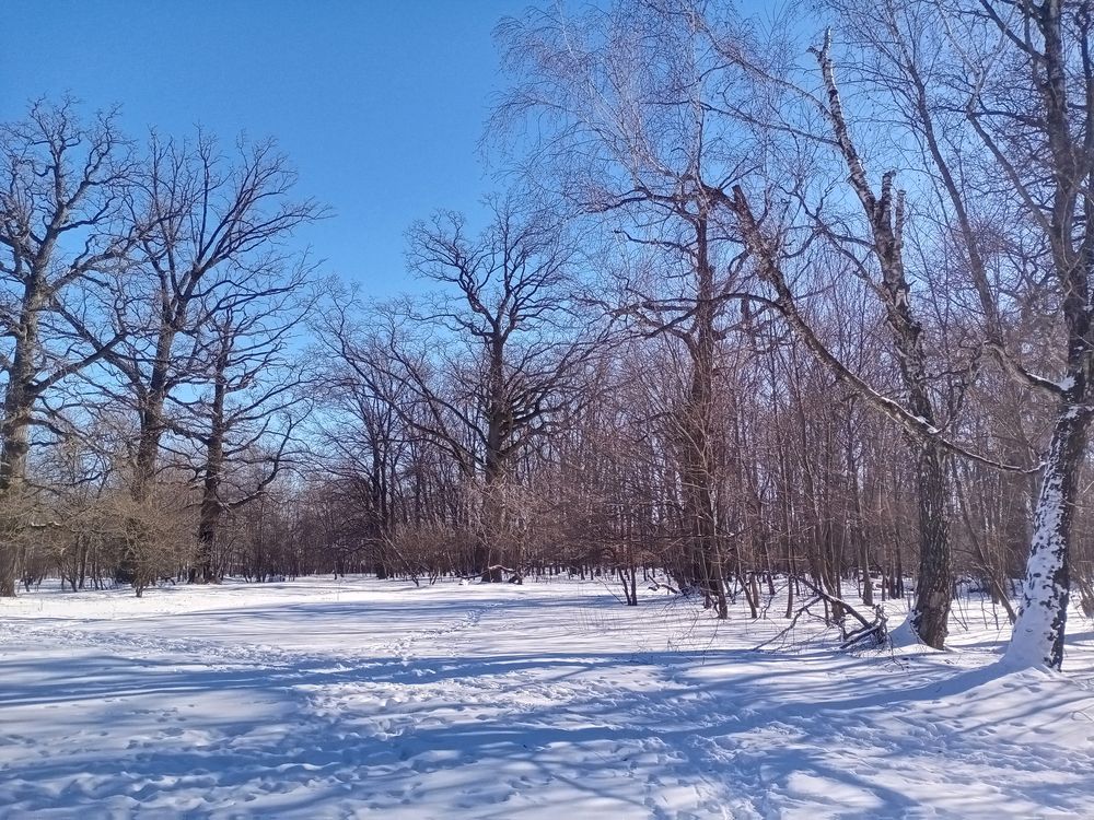 Photograph by Евгений Каримов