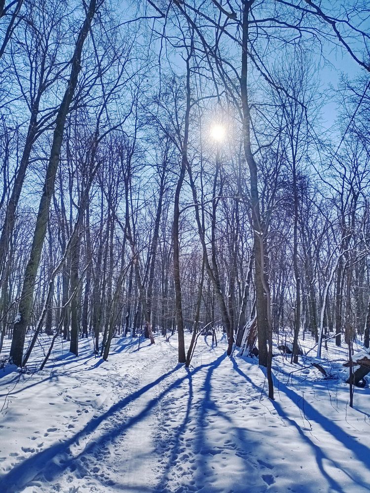 Photograph by Евгений Каримов